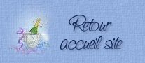 retour accueil site